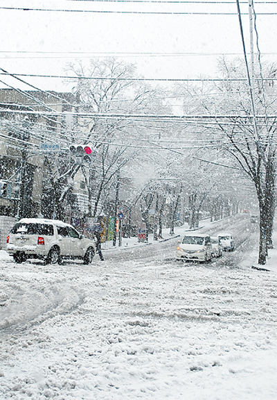 積雪13cmで区内混乱 交通・ごみ収集が一時寸断 | 青葉区 | タウンニュース