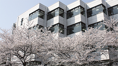 桜目線のお花見キャンパス
