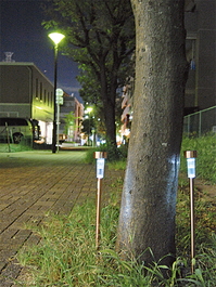 top1_p2_0819.jpg
