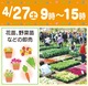 春の園芸フェア開催