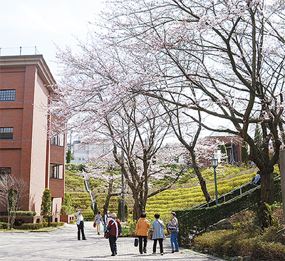 富士見丘学園でお花見
