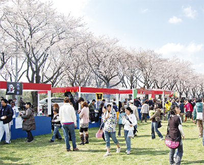 桜祭り２年ぶりの開催
