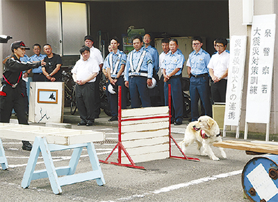 災害救助犬と防災訓練