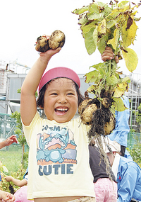 「おっきなじゃがいも掘れたよ」