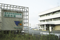 本場への統合が決まった南部市場