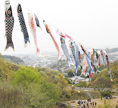 100匹鯉のぼり、元気よく 金沢動物園で5月6日まで | 金沢区・磯子区