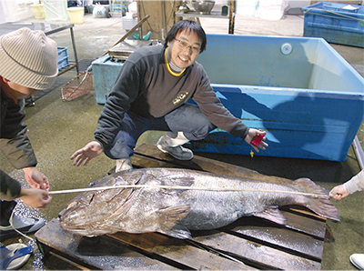 本牧沖で謎の巨大魚を漁獲 正体は イシナギ 中区 西区 タウンニュース