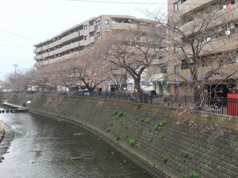 あっとほーむデスク