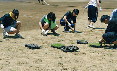 横浜国際高が校庭を芝生化