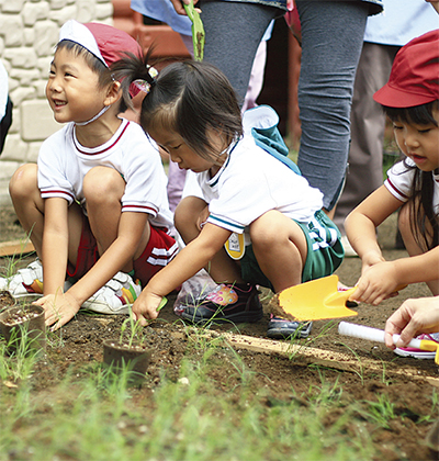 庭を一面の芝に