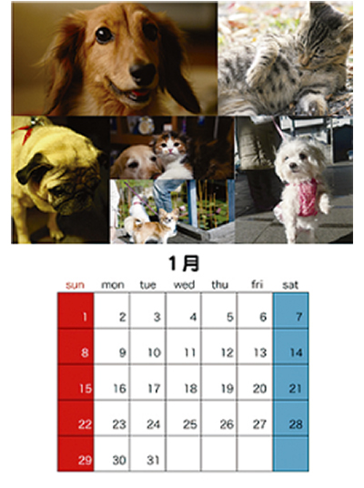 愛するペットの写真募集