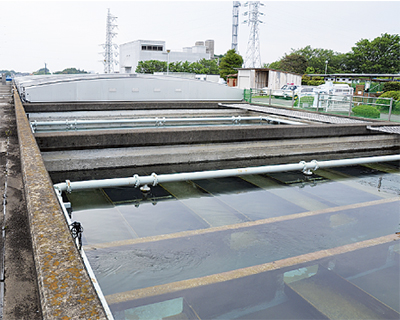 ホルム問題で臨時検査