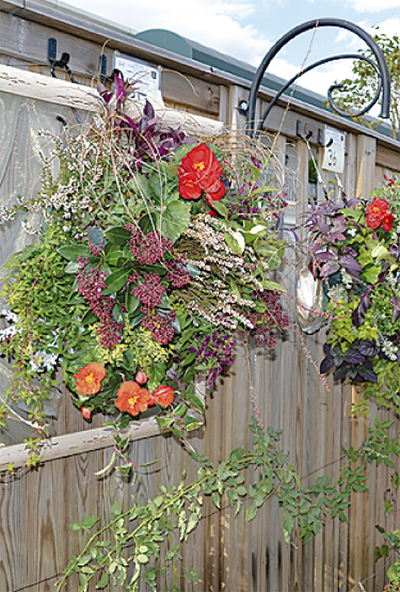 ハンギングバスケット