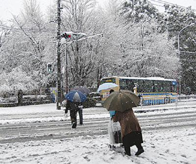 晴れの門出は思わぬ大雪に