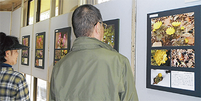 花写真が３千枚