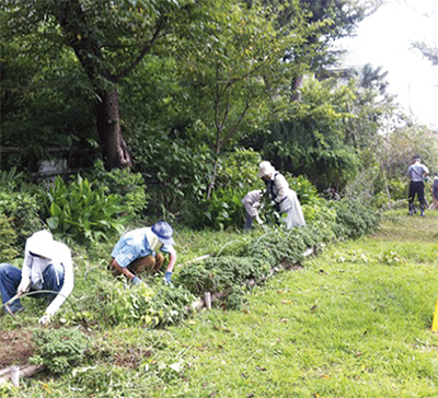 広場にビオトープ