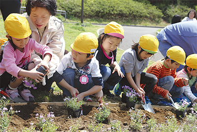 唐沢公園にシバザクラ