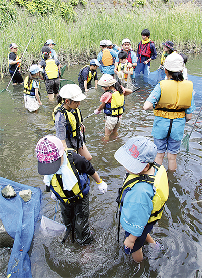 大岡川の魚を知る