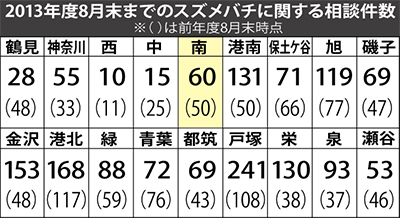 スズメバチ駆除相談 急増