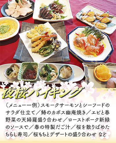 特等席で夜桜と美食を満喫