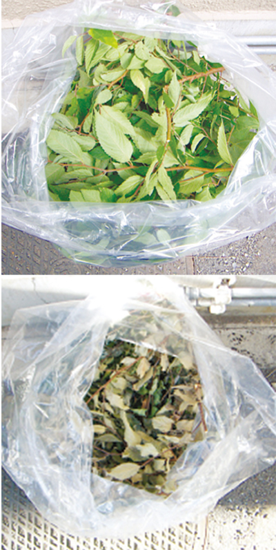 せん定枝・刈草の乾燥呼びかけ