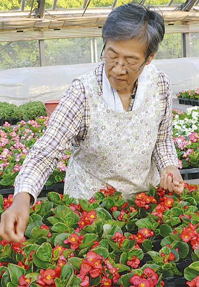 石川さんが農水大臣賞