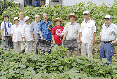 みなみのパワー