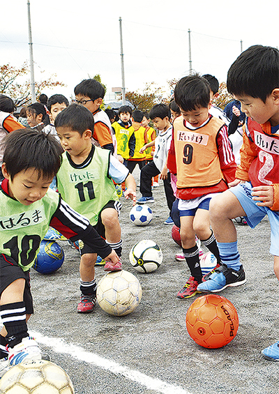 ボールに親しむフェス