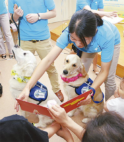 国内初､メスの医療犬誕生