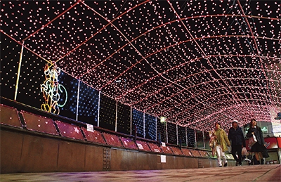 橋に咲く光の桜