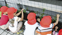 作業後は皆、満足そうな表情をみせていた