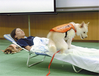 雑種から育てられる聴導犬に参加者は驚いていた