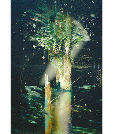 幻想的な版画を展示 11日からフェイアートで | 神奈川区 | タウンニュース