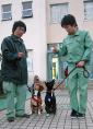 犬の返還率が低下