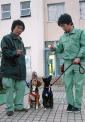 犬の返還率が低下