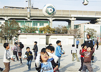 ボール遊びに夢中