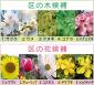 区の花木募集