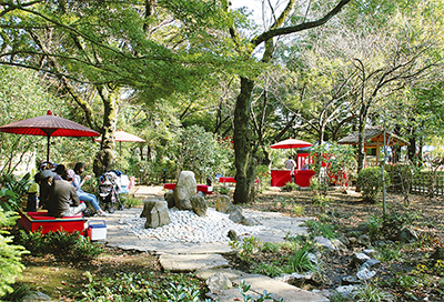 奥ゆかしき日本庭園
