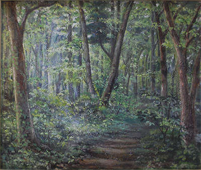 先週の森 | さがみはら南区 | タウンニュース