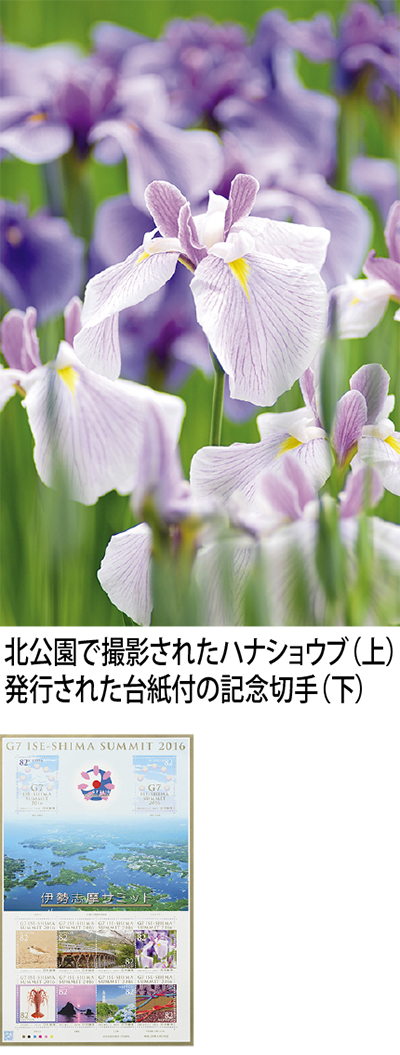 鶴来さんの撮影写真 緑区在住 サミットの記念切手に さがみはら南区 タウンニュース