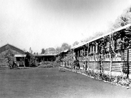 ３度の引っ越し、多くの手で支えられ