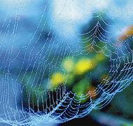 森本さんの写真展