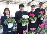 シクラメン販売会