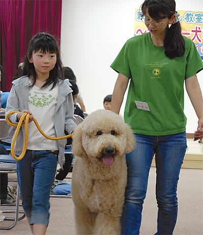 セラピー犬知って 福祉会館でNPO法人が親子教室 | 海老名・座間