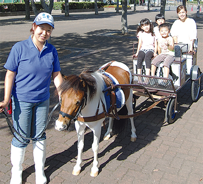 運動公園疎林広場横 ポニーの馬車 運行開始 乗車料100円は餌代などに