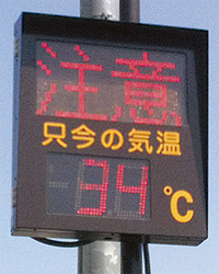 9月以降も要警戒 （8月23日・厚木市関口で撮影）