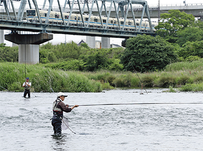 相模川でアユ漁が解禁