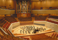 若き才能が奏でる