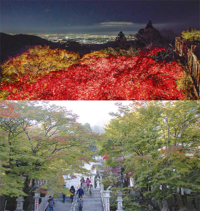 大山 紅葉見頃もうすぐ ライトアップは11月18日から27日 伊勢原 タウンニュース