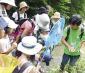 里山の自然博士になろう